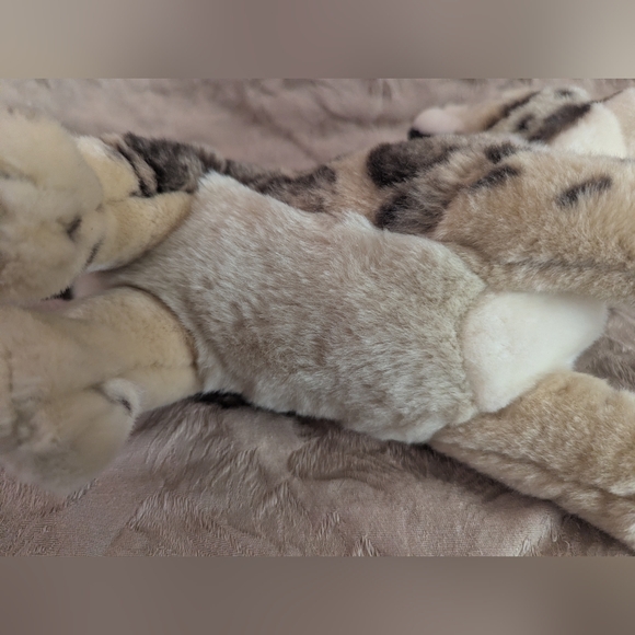 Webkinz Signature Endangered Clouded Leopard Plush NO CODE - Picture 7 of 9